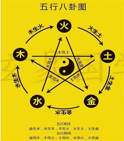 木和金|“五行”中为什么有木和金，而没有风？